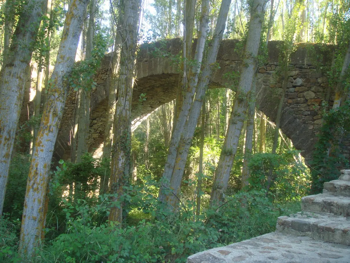 Puente medieval sobre el río Cidacos entre chopos